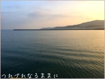 淡路島、3箇所でエビ撒き釣りを試す_d0017632_09081058.jpeg