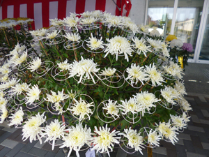 c0343936_2151425.jpg