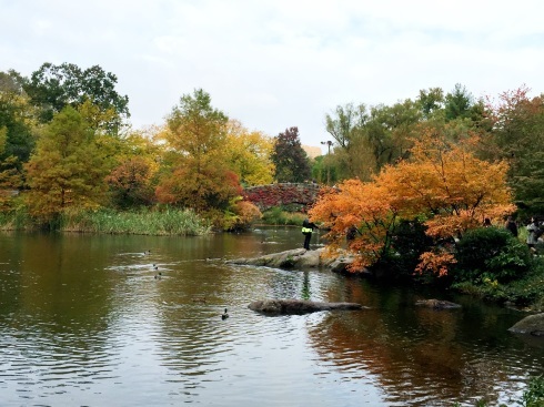 セントラルパークの池の周りの秋、_a0170045_10485722.jpg