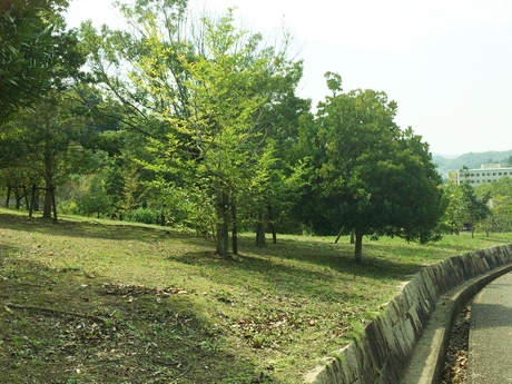 a0116246_15351424.jpg