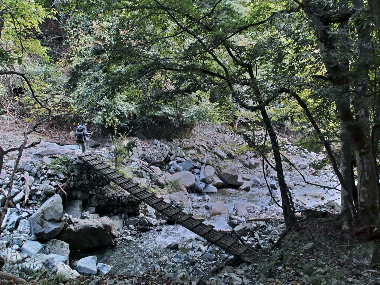 頭を踏んで荒れた沢を下る西丹沢_c0008948_946302.jpg