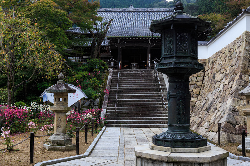 秋明菊咲く善峯寺・前編（山門～本坊）_f0155048_23552060.jpg