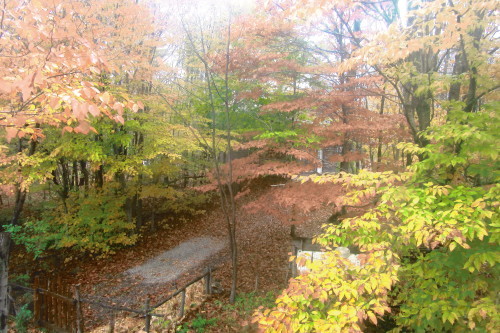 b0247153_21124535.jpg