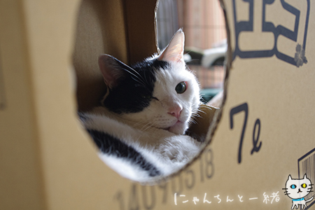 今朝も取ったどー!_e0031853_1724550.jpg
