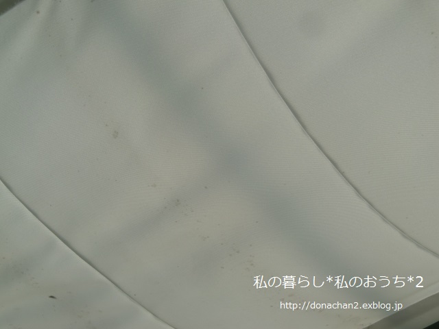 e0354456_97446.jpg