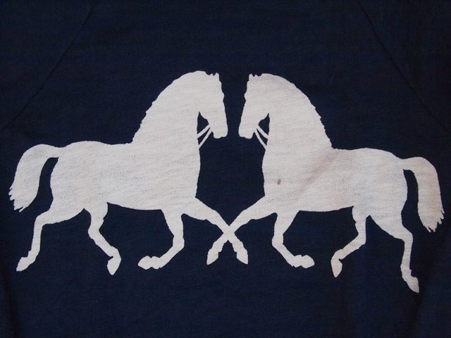 c0330558_23272653.jpg
