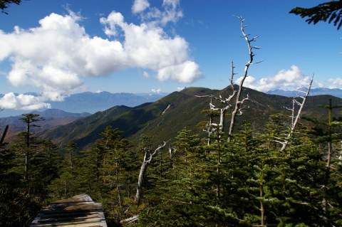 e0045768_22473424.jpg