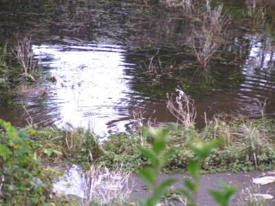 c0112172_02074.jpg
