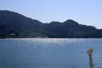 c0152779_1155128.jpg