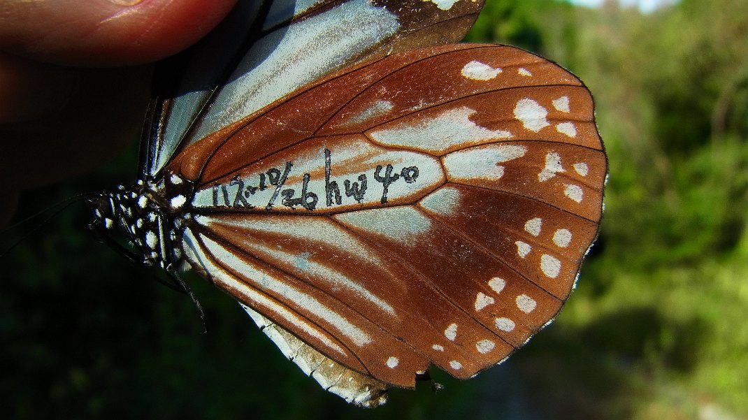f0346184_18244695.jpg