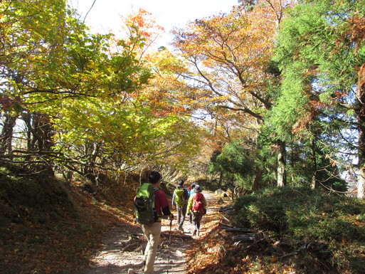 20151025　紅葉の英彦山_d0326888_1534767.jpg