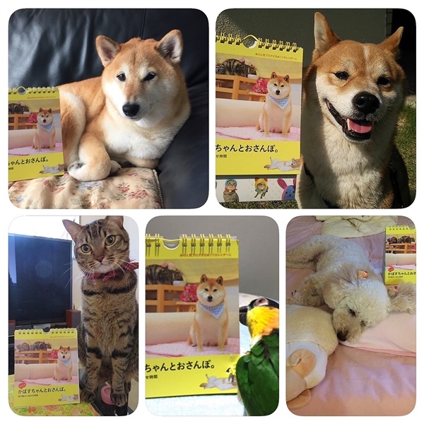 3ショットの撮り方_a0126590_05442621.jpg