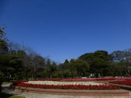 秋の里見公園_c0223591_1351301.jpg