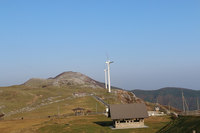 b0190092_2013530.jpg