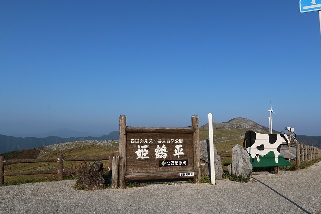 b0190092_2013778.jpg