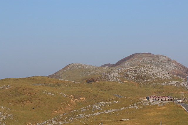 b0190092_2014336.jpg