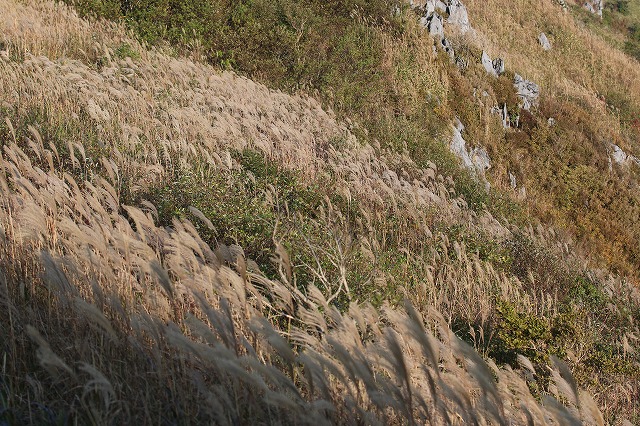 b0190092_201476.jpg