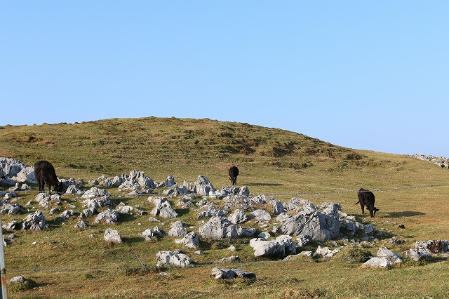 b0190092_2015385.jpg