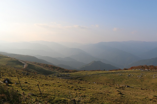 b0190092_2015777.jpg