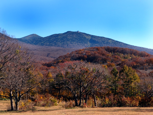 城ヶ倉大橋の秋景色、青森アスパム展望台からの夕景など♪_a0136293_1845545.jpg