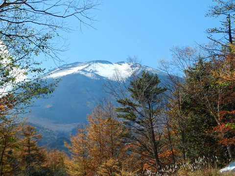 e0024094_189112.jpg