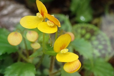 f0203094_1459179.jpg