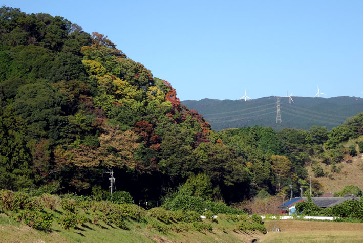 嫁落としの山が色づきだした_b0145296_922831.jpg