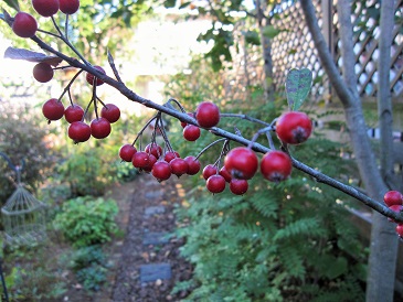 c0117898_20513248.jpg