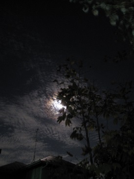 c0117898_20565964.jpg