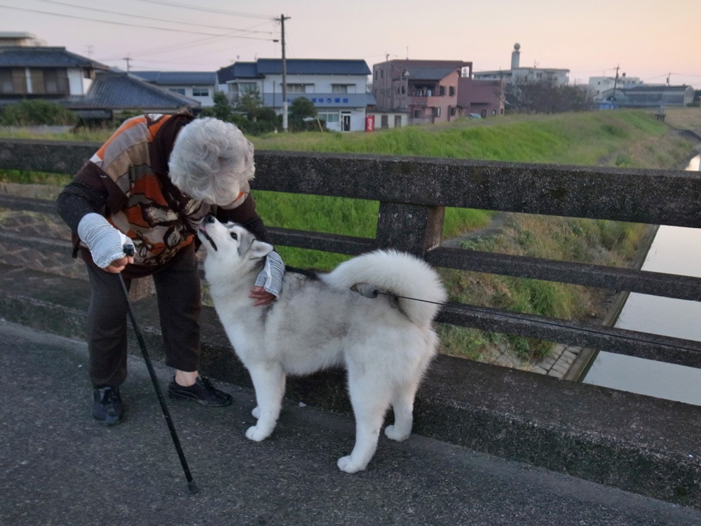 10月17日晴れ (^o^)_c0049299_21395834.jpg