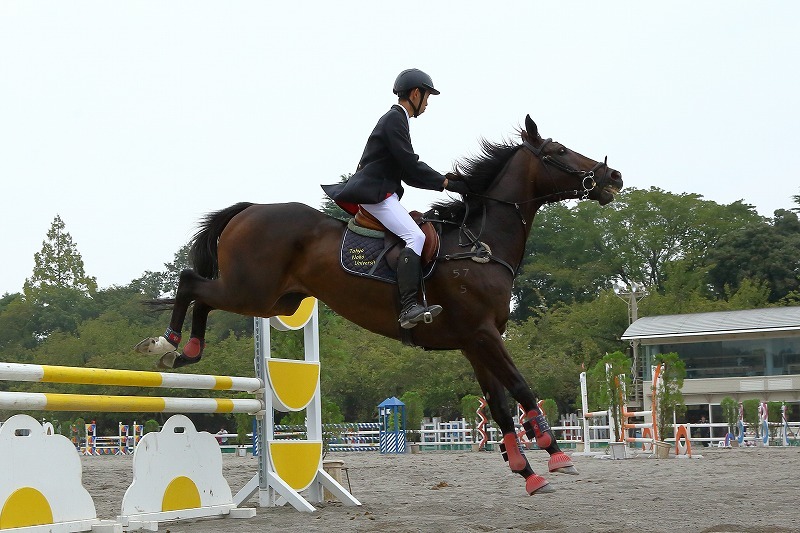 華麗にジャンプするサラブレッドたち（馬事公苑の馬術大会にて）（その後半）_b0291402_09062769.jpg