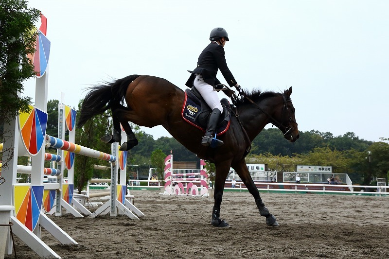 華麗にジャンプするサラブレッドたち（馬事公苑の馬術大会にて）（その後半）_b0291402_09063914.jpg