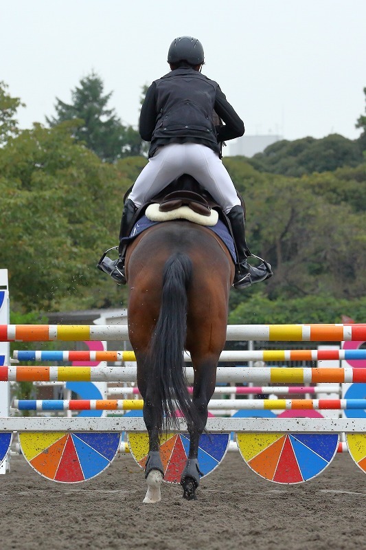 華麗にジャンプするサラブレッドたち（馬事公苑の馬術大会にて）（その後半）_b0291402_09075551.jpg