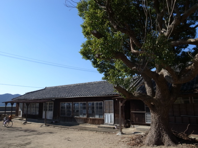 f0197703_10501055.jpg