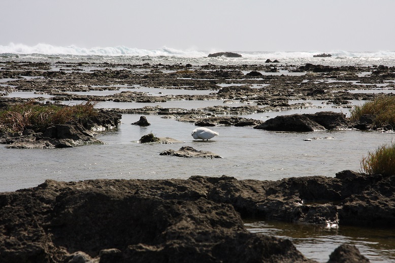 d0136804_922418.jpg
