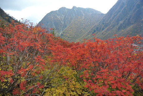 紅葉の涸沢から奥穂高岳へ_c0242406_1747218.jpg