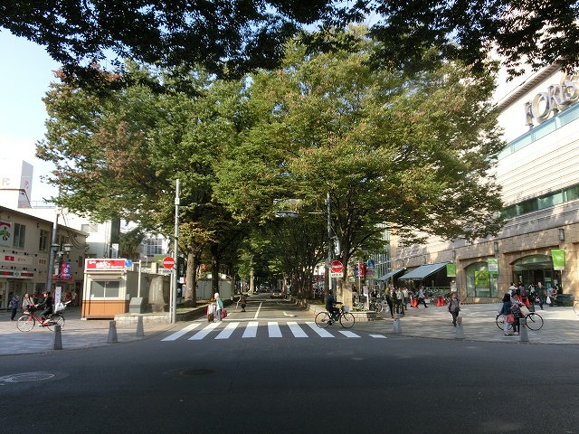 府中市(東京都)の全国初の取組み 道路や並木の点検、補修、清掃、剪定等を「包括管理委託」_f0141310_747385.jpg