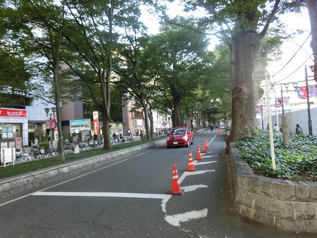 府中市(東京都)の全国初の取組み 道路や並木の点検、補修、清掃、剪定等を「包括管理委託」_f0141310_7495399.jpg
