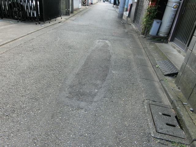 府中市(東京都)の全国初の取組み 道路や並木の点検、補修、清掃、剪定等を「包括管理委託」_f0141310_750121.jpg
