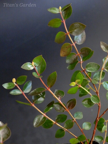b0099813_0213082.jpg