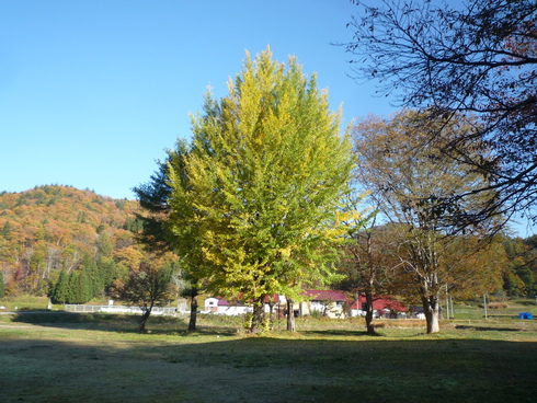 c0189218_825799.jpg