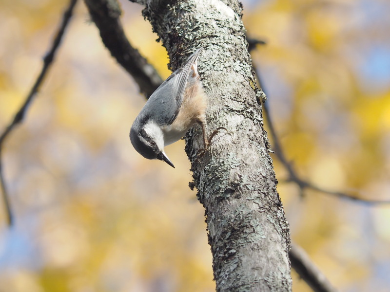 f0330321_1749869.jpg