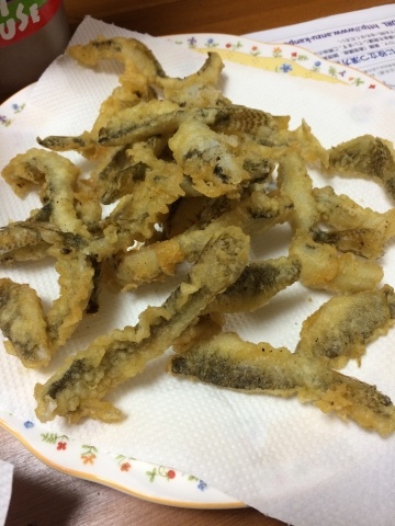 e0346623_09022175.jpeg