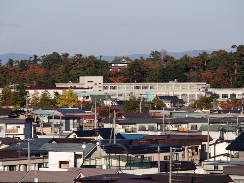 b0147224_2051844.jpg