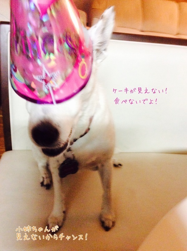 d0269832_08520800.jpeg