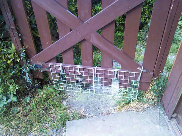c0122633_21384593.jpg