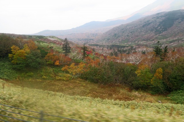 a0242438_1957344.jpg
