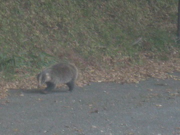 九州脊梁　熊本県　　雁俣山_c0077338_5355936.jpg