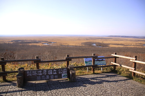 恒例・秋の湿原パトロール行ってきた 10月27日_f0113639_16113531.jpg