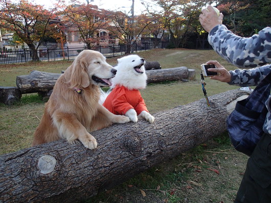 元気は元気なんだけど_f0128542_0391384.jpg